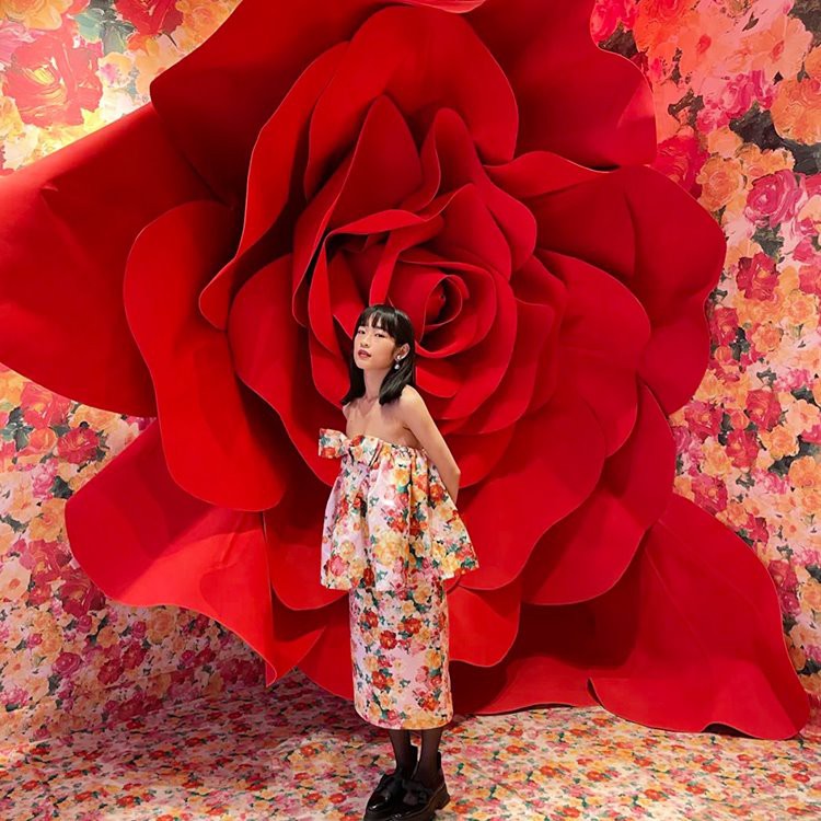 Atrezzo de fons de rosa gegant